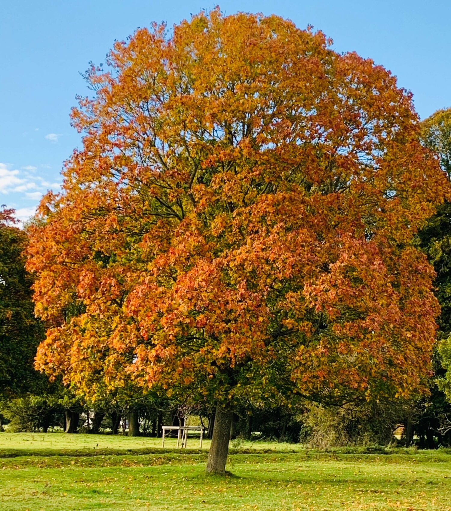 September is a glorious month in the British countryside