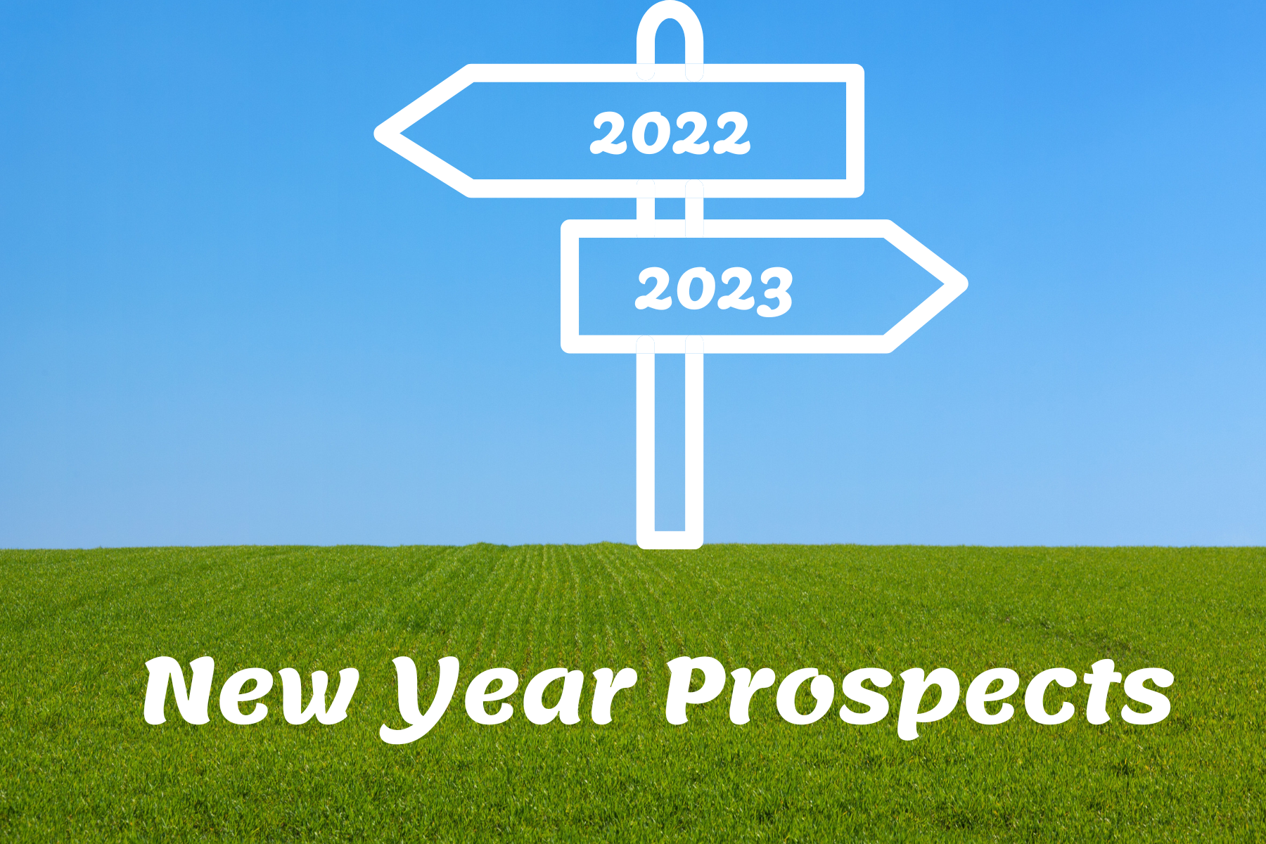 New Year Prospects