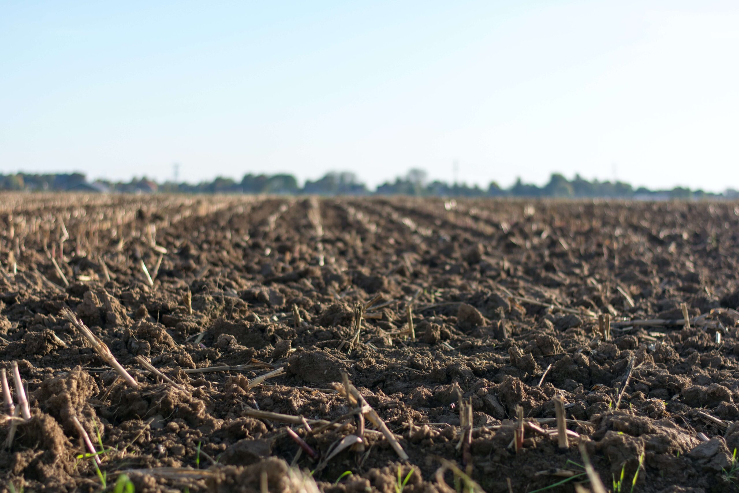 Demands on land use